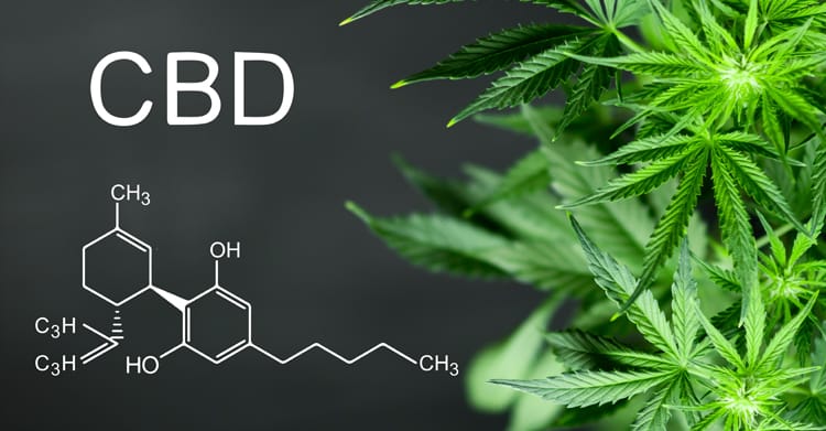 CBD και Αυτοάνοσα νοσήματα!